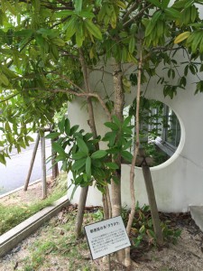廿日市郵便局